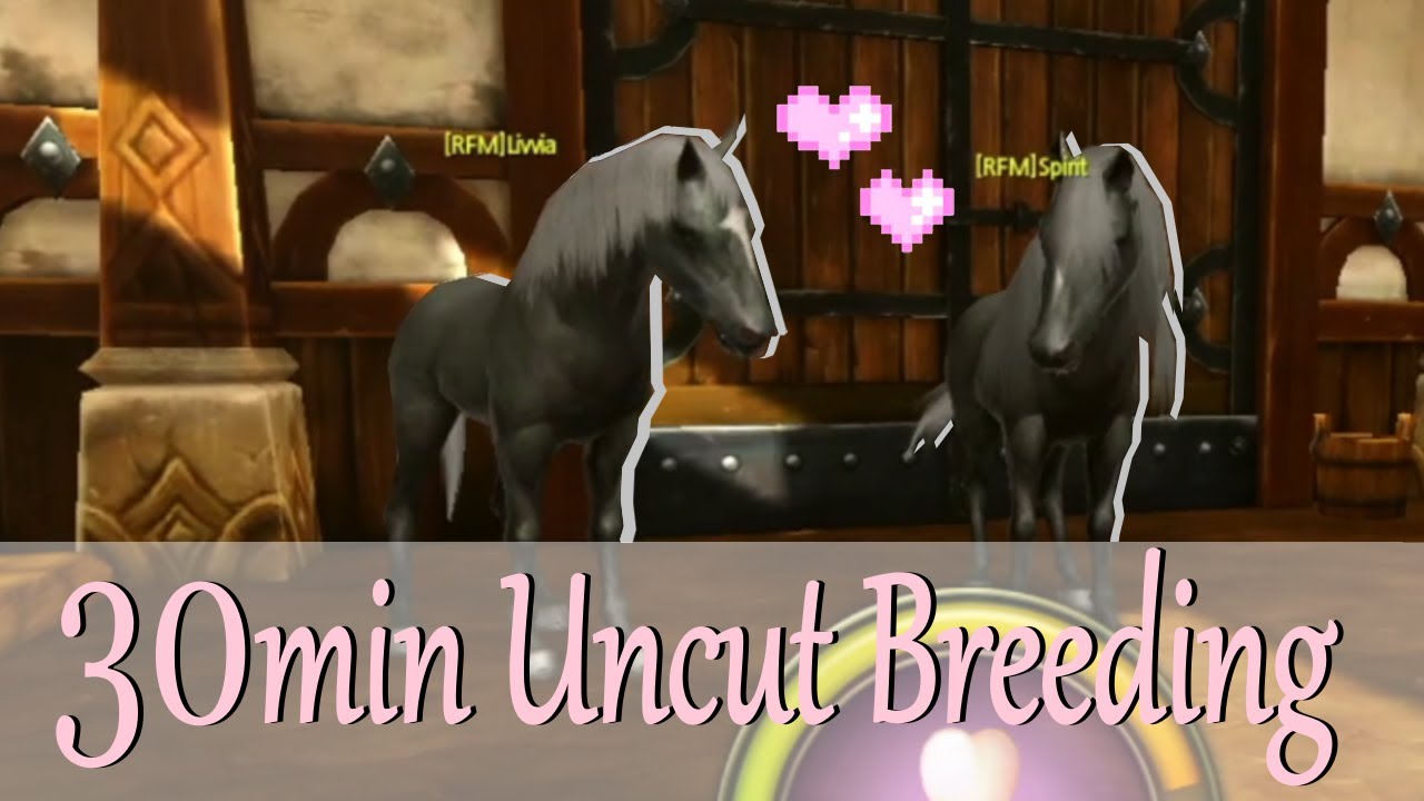 │Alicia Online │ - 30min Breeding Commentary [Uncut with voice] - Dream features for AO?