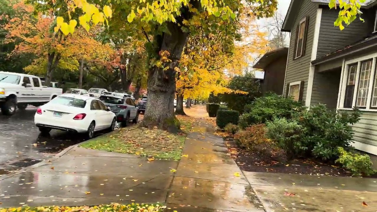 A Rainy Halloween Walk in Eugene, Oregon
