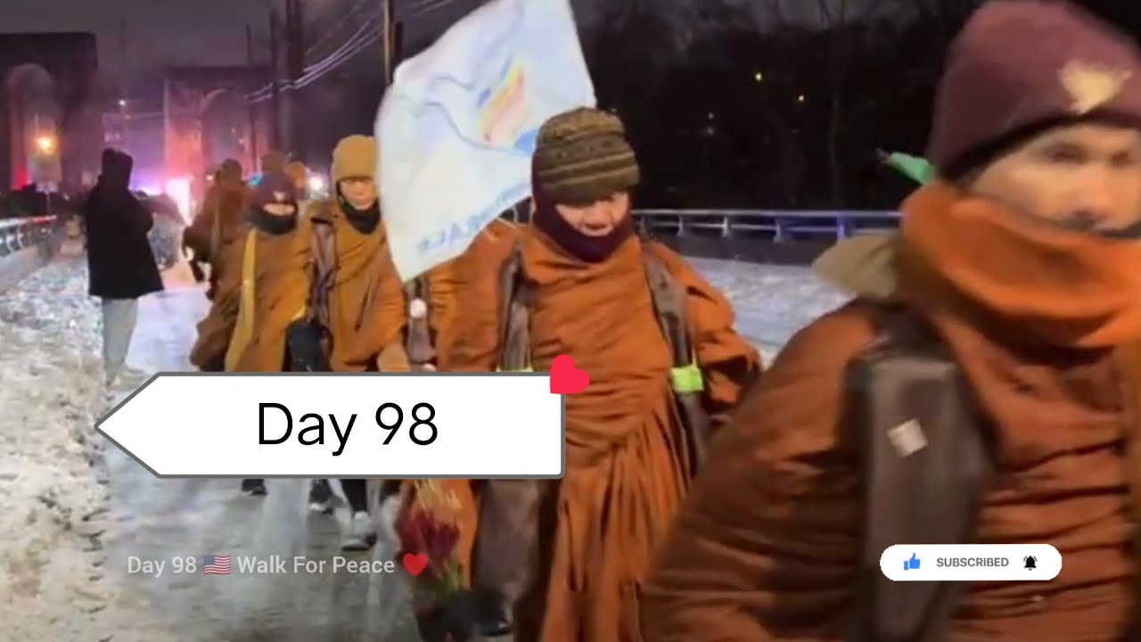 Day 98 🇺🇸 Today's Evening 🌆 video - Walk For Peace Journey ♥️ #peacewalk #alokathepeacedog #usa #fyp