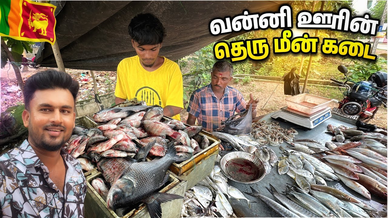 வன்னி ஊர் மக்கள் எப்படி மீன் வாங்குவார்கள் / village Fish Market