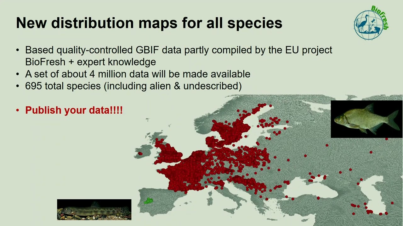 RIBES Final Conference: Freshwater fish conservation - threats and priorities (Jörg Freyhof)