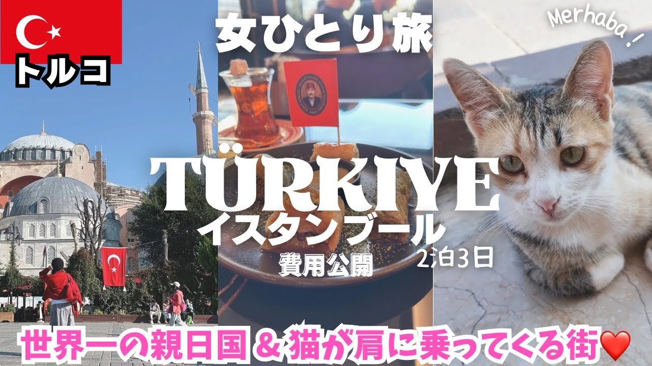 【トルコ旅行🇹🇷イスタンブール観光】今リラが激安?!空港から市内🚌猫天国❤️ホテル/ヨーロッパ女ひとり旅vlog