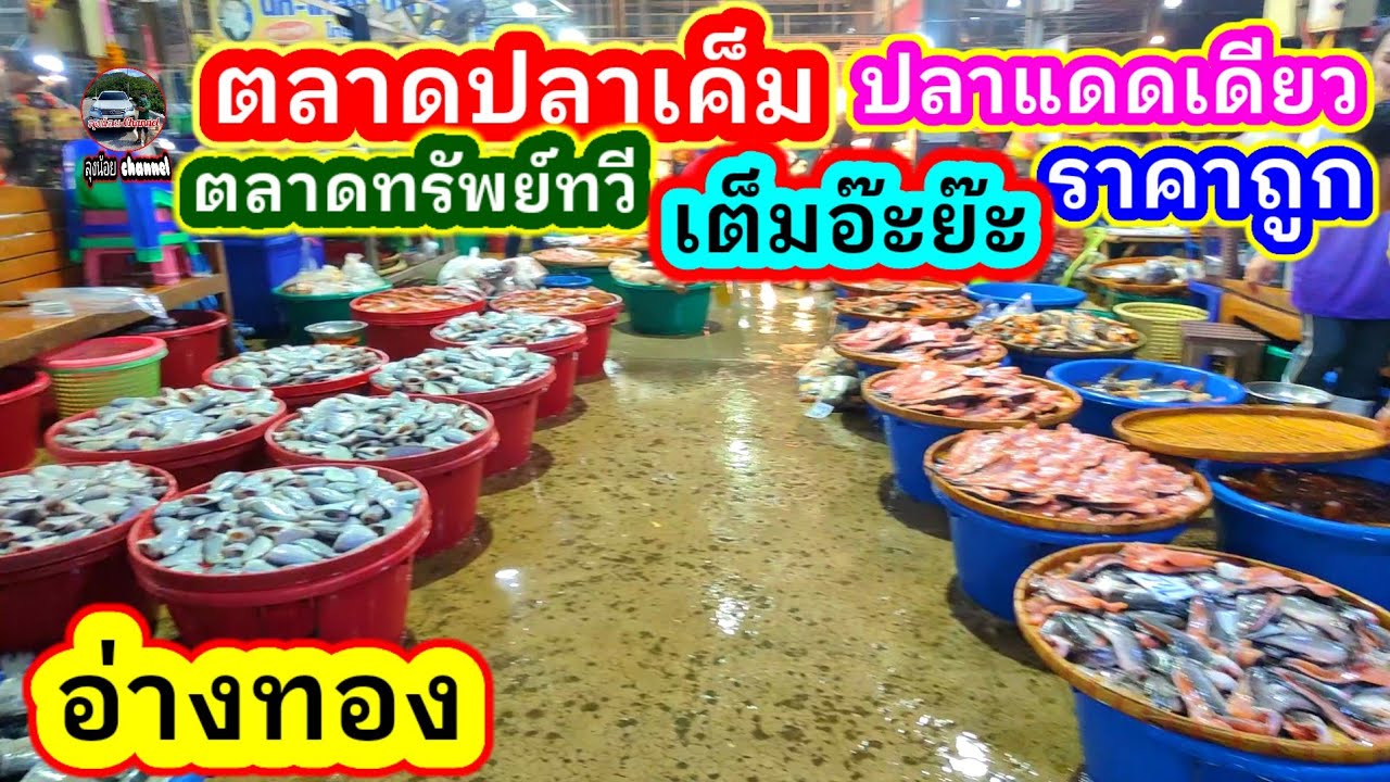 #ตลาดปลาเค็ม#ปลาแดดเดียว #ปลาเข้าเยอะมาก #ราคาถูก #ตลาดทรัพย์ทวี #อ่างทอง #ลุงน้อยchannel