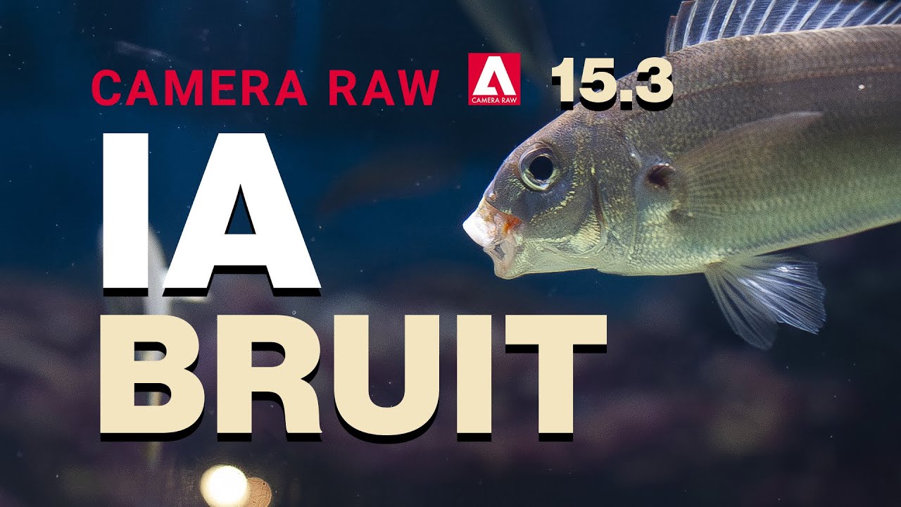 Mise à jour de Camera Raw 15.3 [Réduction du bruit par l'IA]