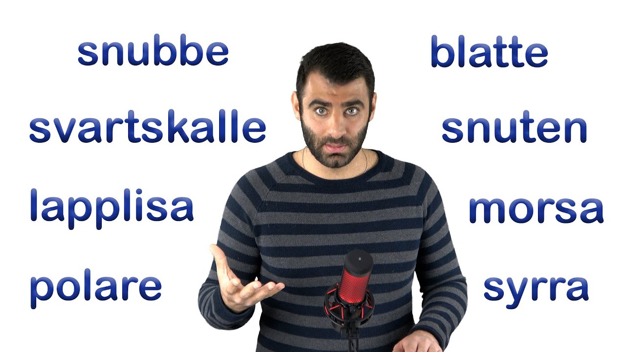 Förstå Vardagssvenska! (svenska vardagsord 