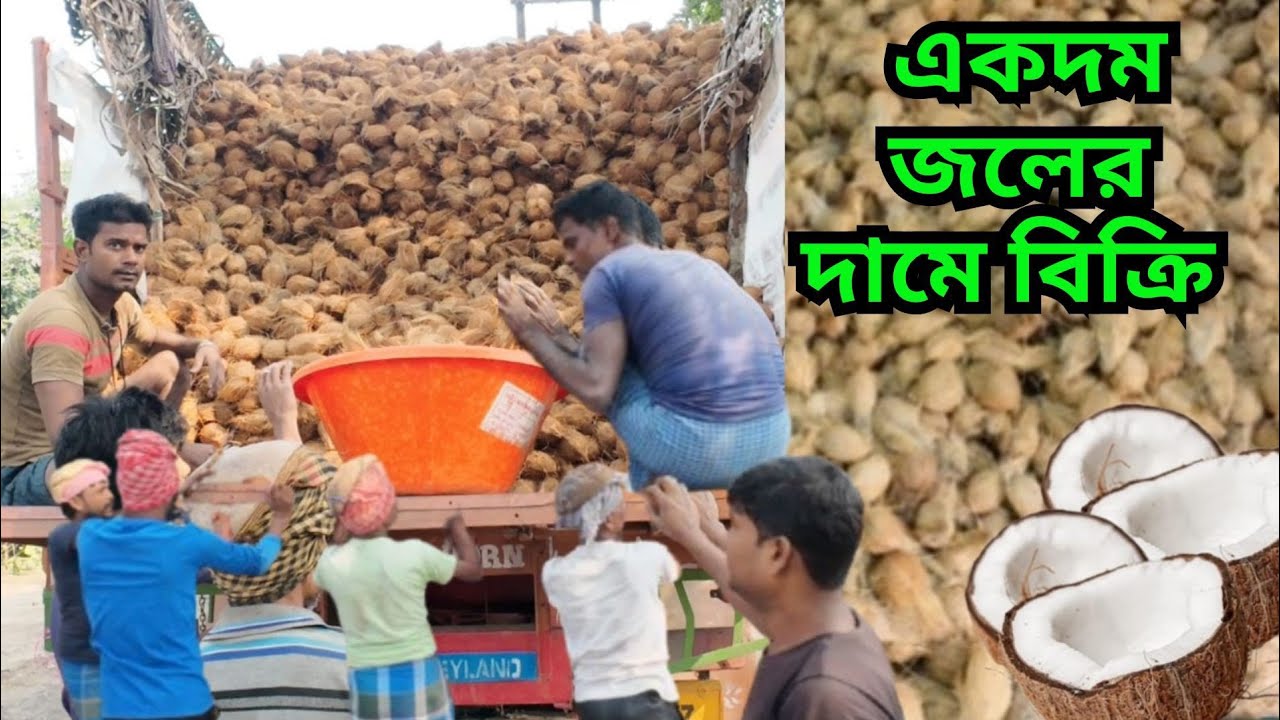 তামিলনাড়ুর নারকেল বোঝাই ট্রাক খালি হচ্ছে Coconut Wholesale Market Kolkata | Wholesale Coconut Mandi