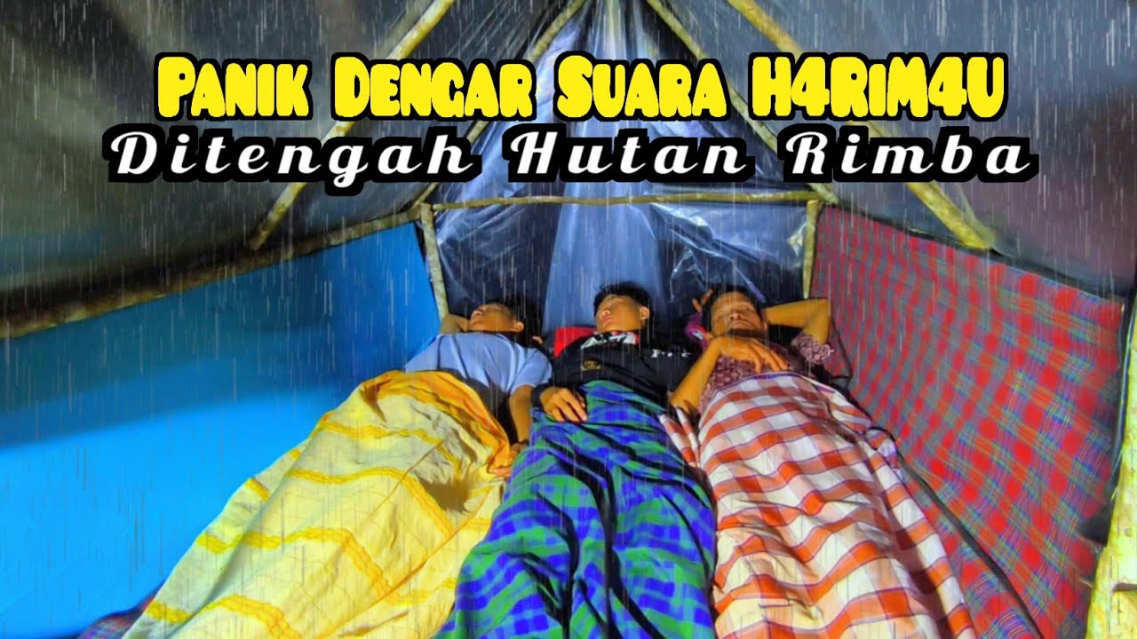 diguyur hujan deras ketakutan mendengar suara harimau Sumatra, relaxing rain sound