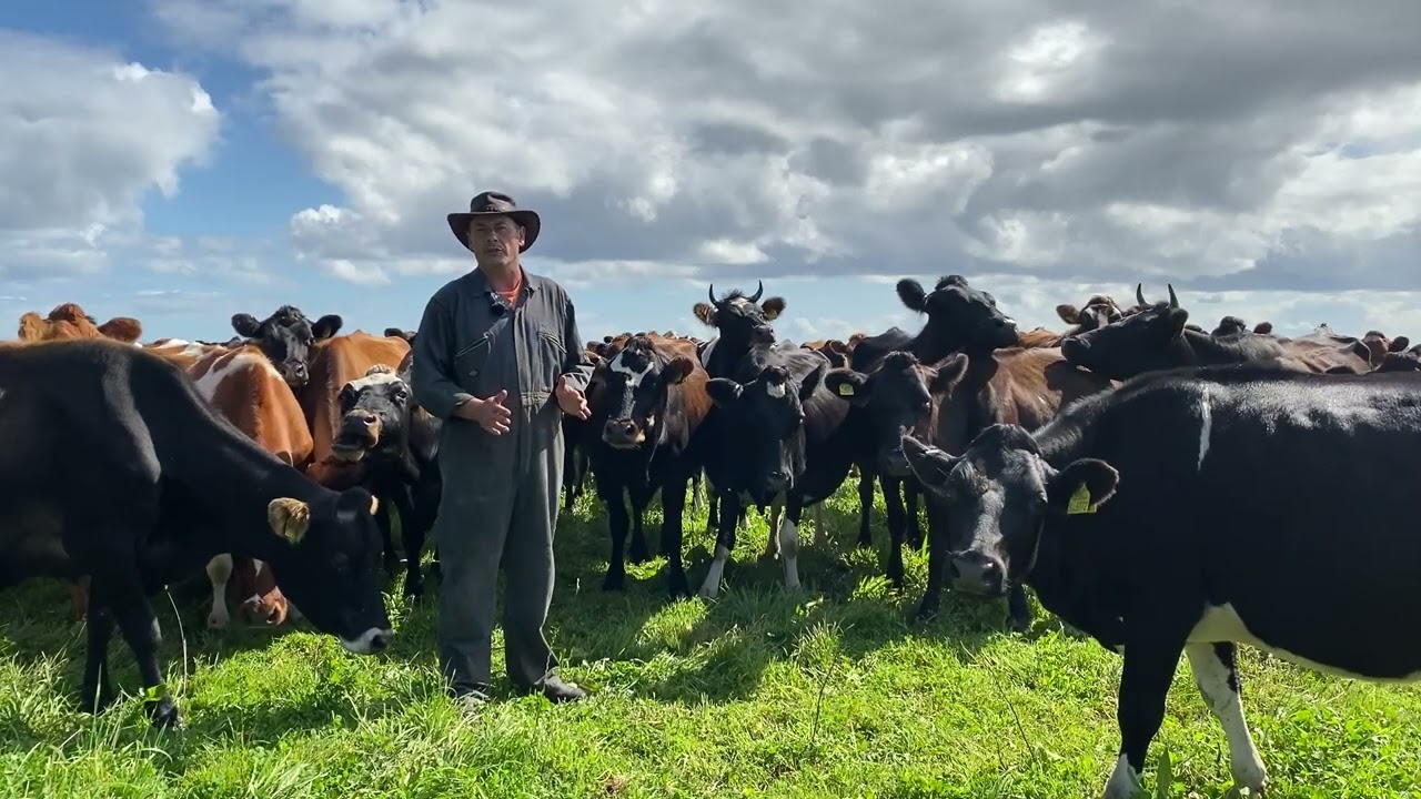 Soil Farmer of the Year 2024 - Ben Richards
