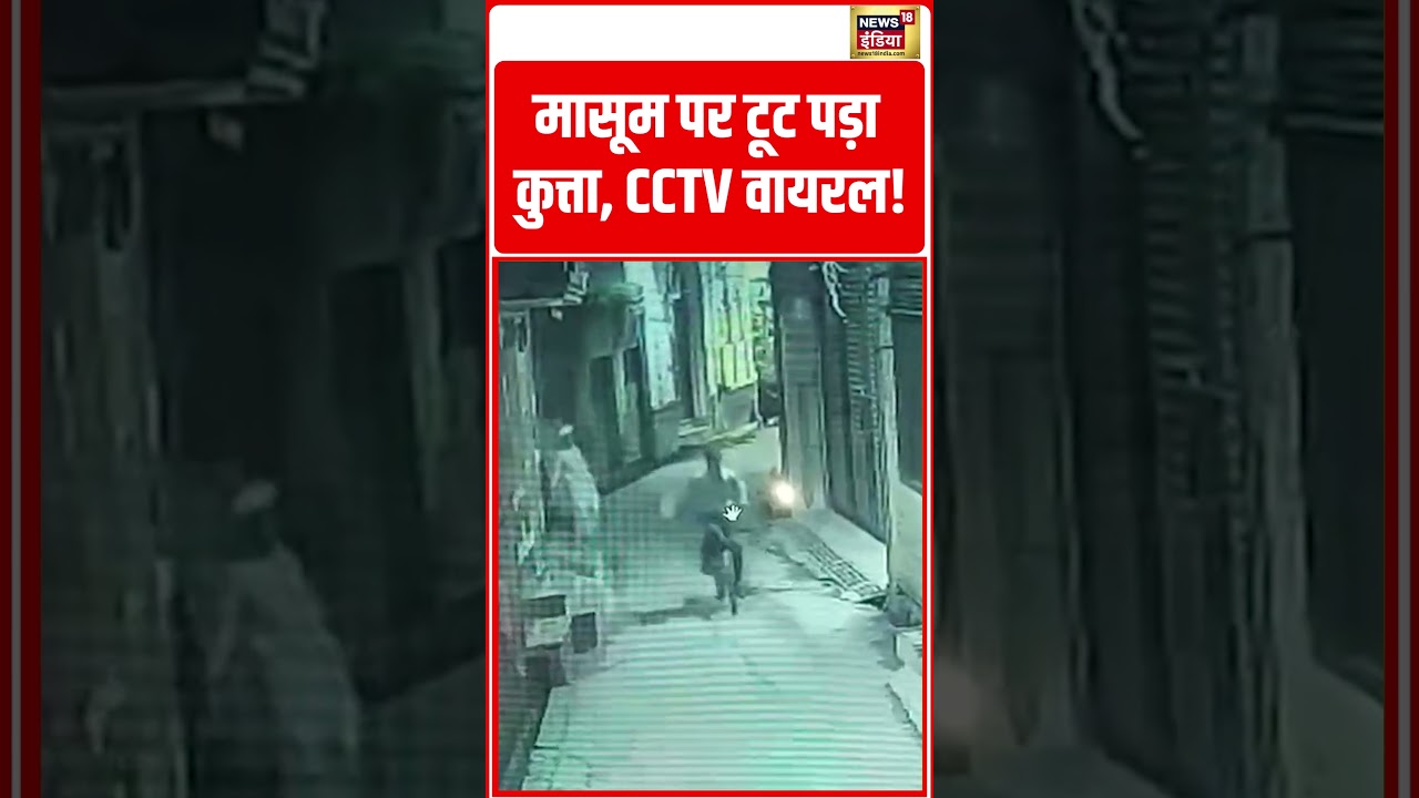 Dog Bite Viral Video | मासूम पर टूट पड़ा कुत्ता, CCTV वायरल! | #shorts #viralvideo #viralnews