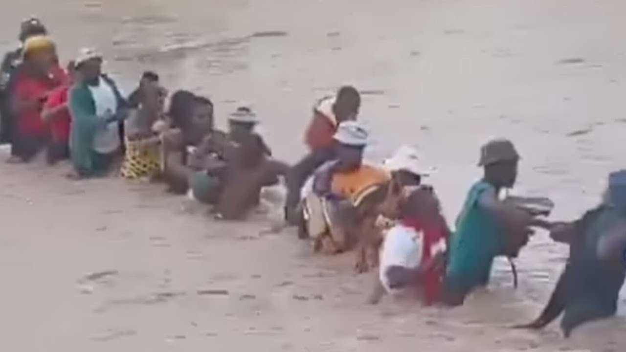 illegal immigrants from Zimbabwe cross Limpopo river