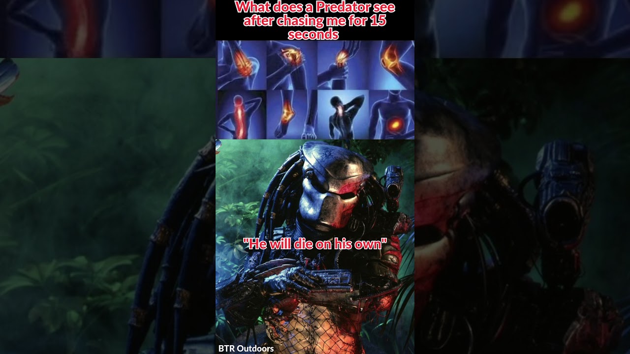 What does a Predator see 
