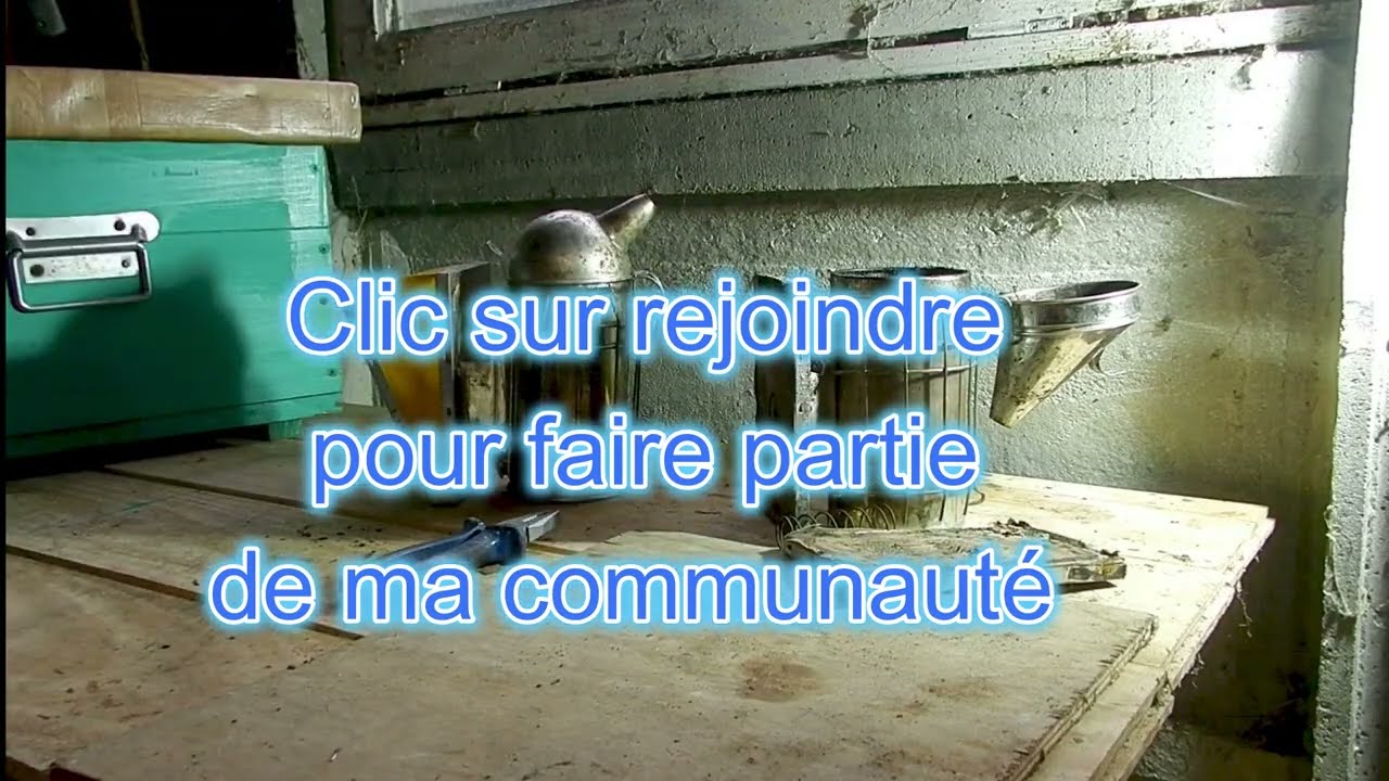 Que faire en février les abeilles au repos apiculture à l'atelier restauration des ruches ruchettes