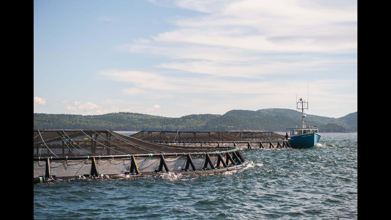 Gray Aqua Industry Spotlight - Pentair AES