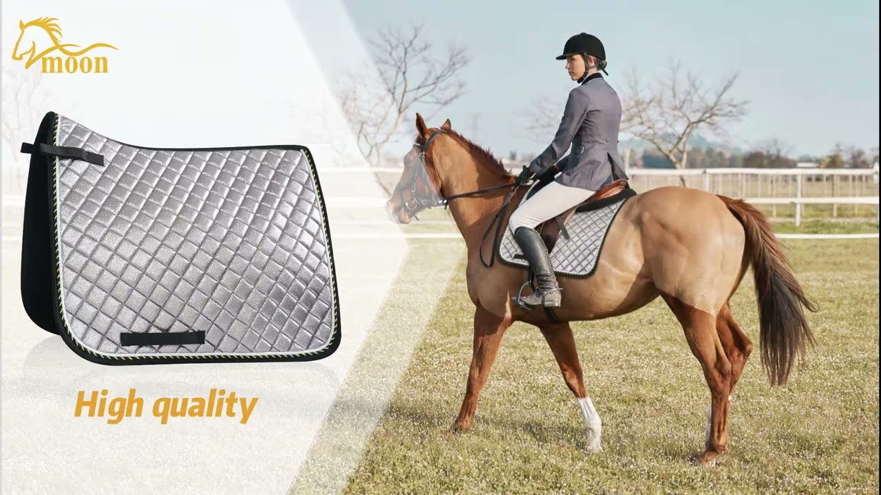 Horse riding equipment #horsehalters #horseblanket #Saddles