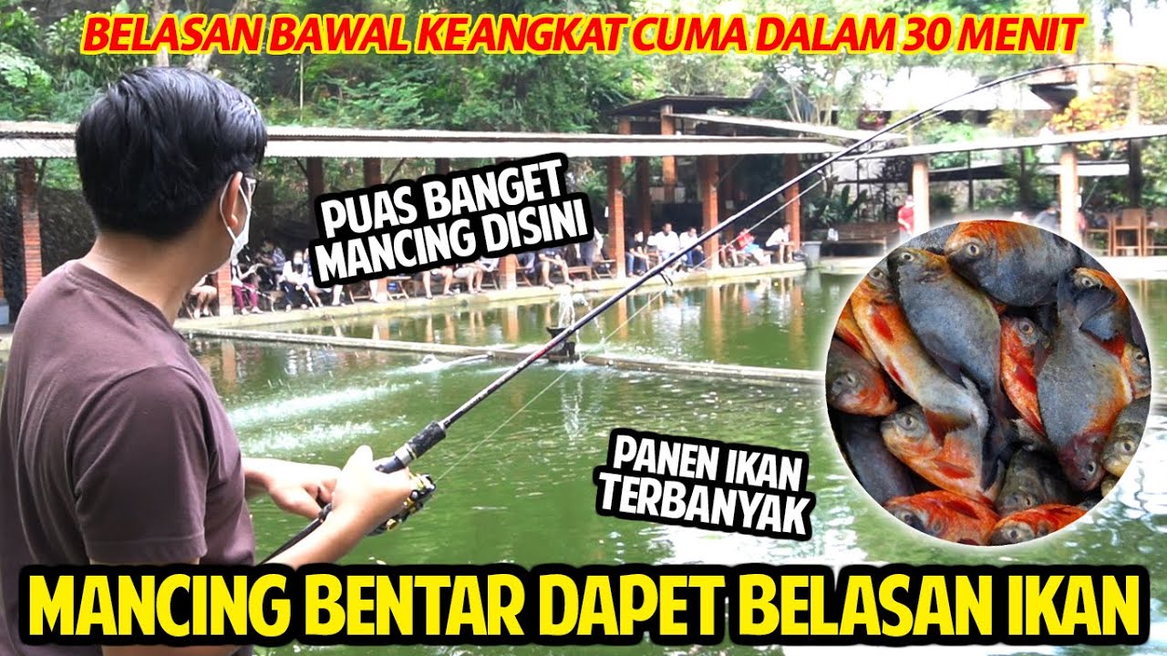 MANCING BENTAR DAPET BANYAK BANGET IKAN! BELASAN BAWAL KEANGKAT CUMA DALAM 30 MENIT!!