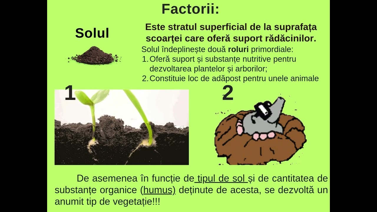 Biosfera - caracteristici și importanță