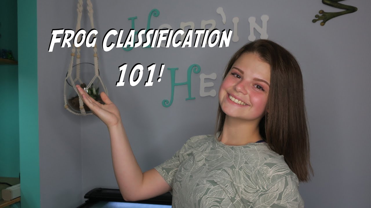 Frog Classification 101!