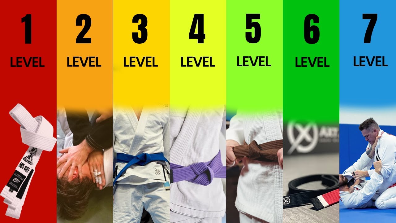 The 7 Levels Of Grapplers Explained In 14 Minutes!