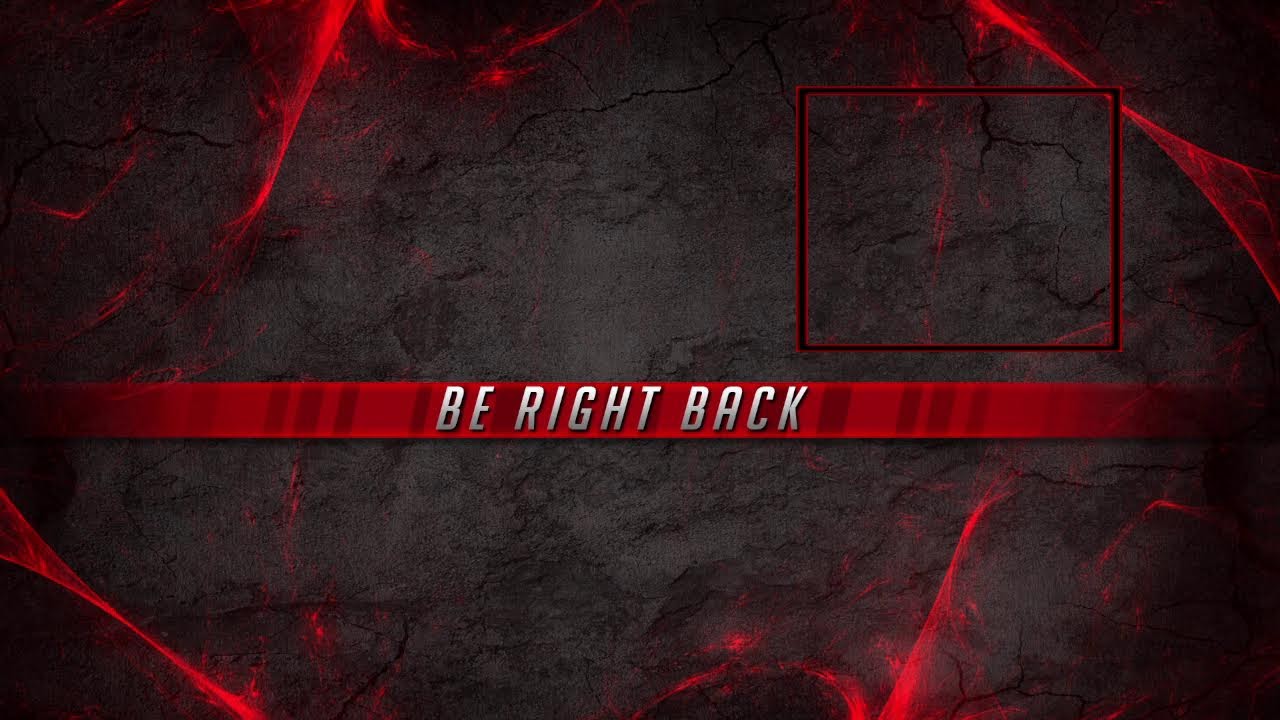 Dayz Chill Stream