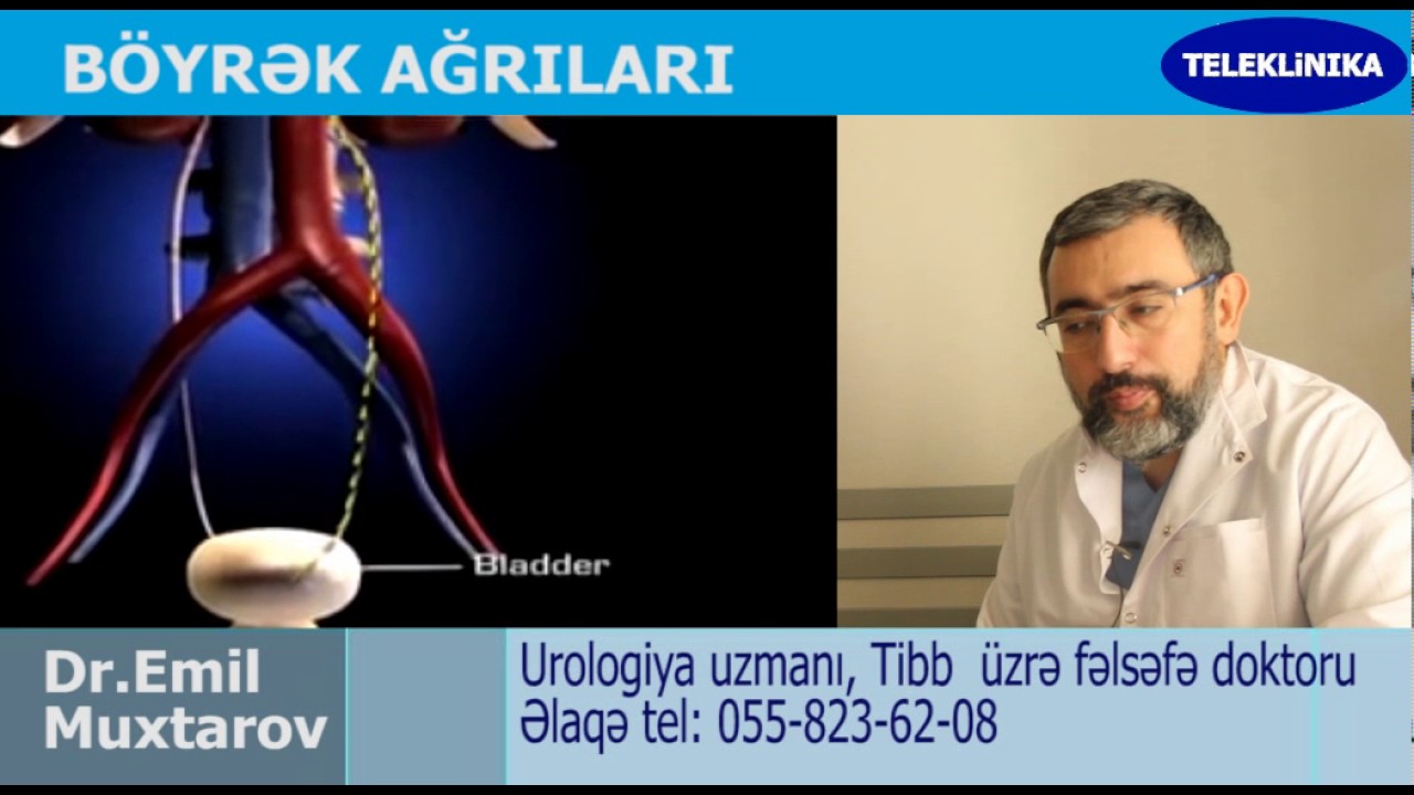 B&ouml;yrek ağrılarının 3 əsas elameti. Dr.Emil Muxtarov. Uroloji uzmanı.