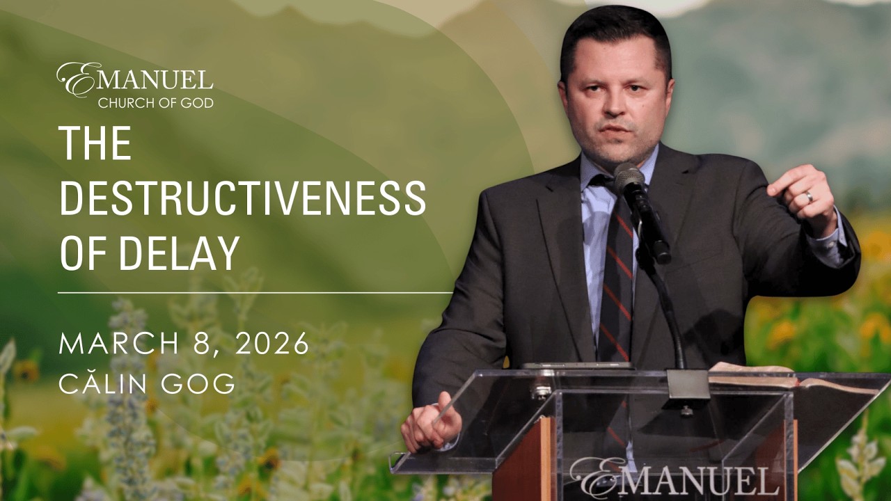 The Destructiveness of Delay - Călin Gog