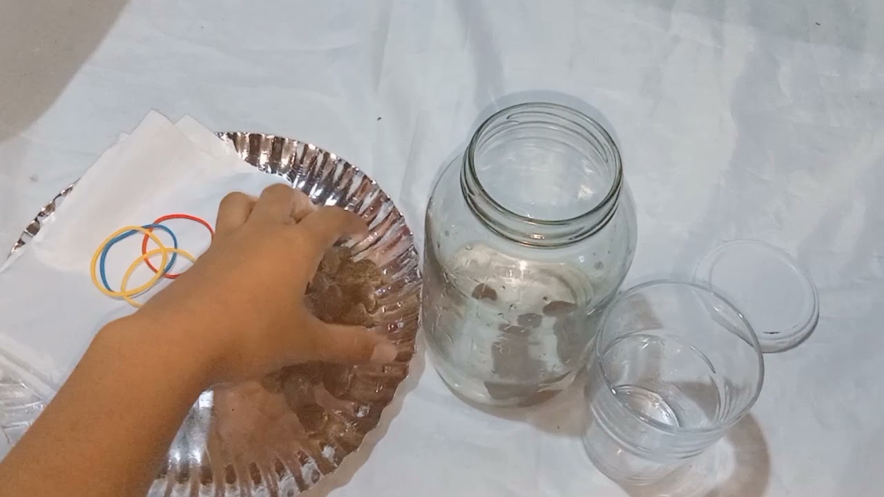 EARTH&SCIENCE11 |WEATHERING OF ROCKS | ACTIVITY 1:WATER,ROCKS&SOIL