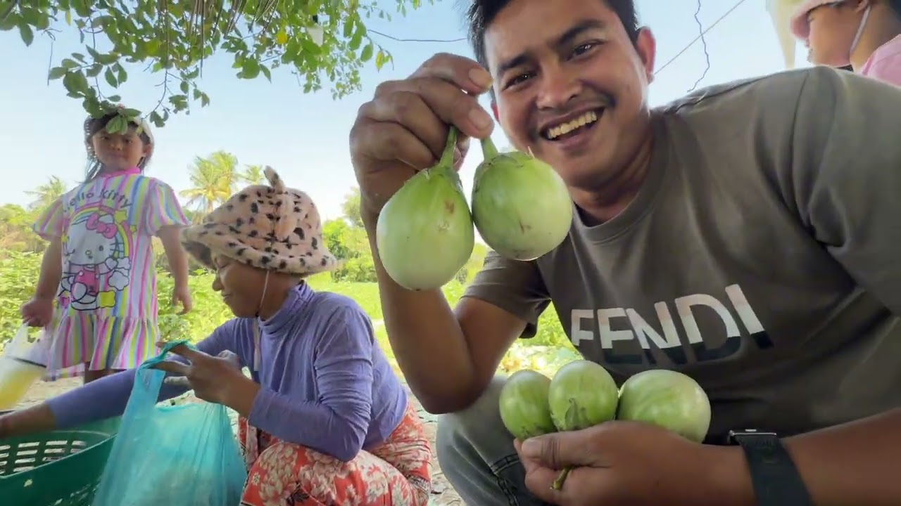 នាយក្រិនទៅចម្ការបន្លែ