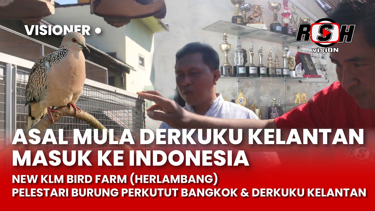 TRAH TEKUKUR ASLI KELANTAN ADA DI SINI | #visioner New KLM Bird Farm