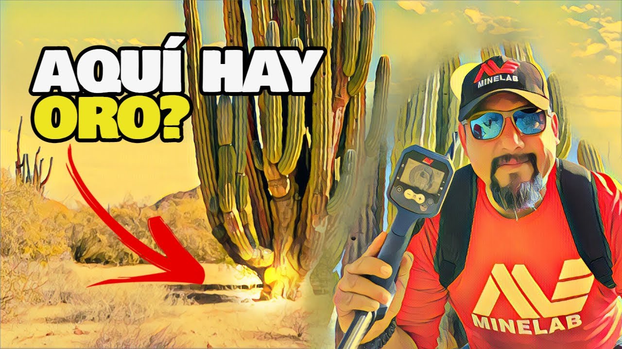 Fuimos a Buscar ORO y Encontramos un TESORO que no es de METAL!