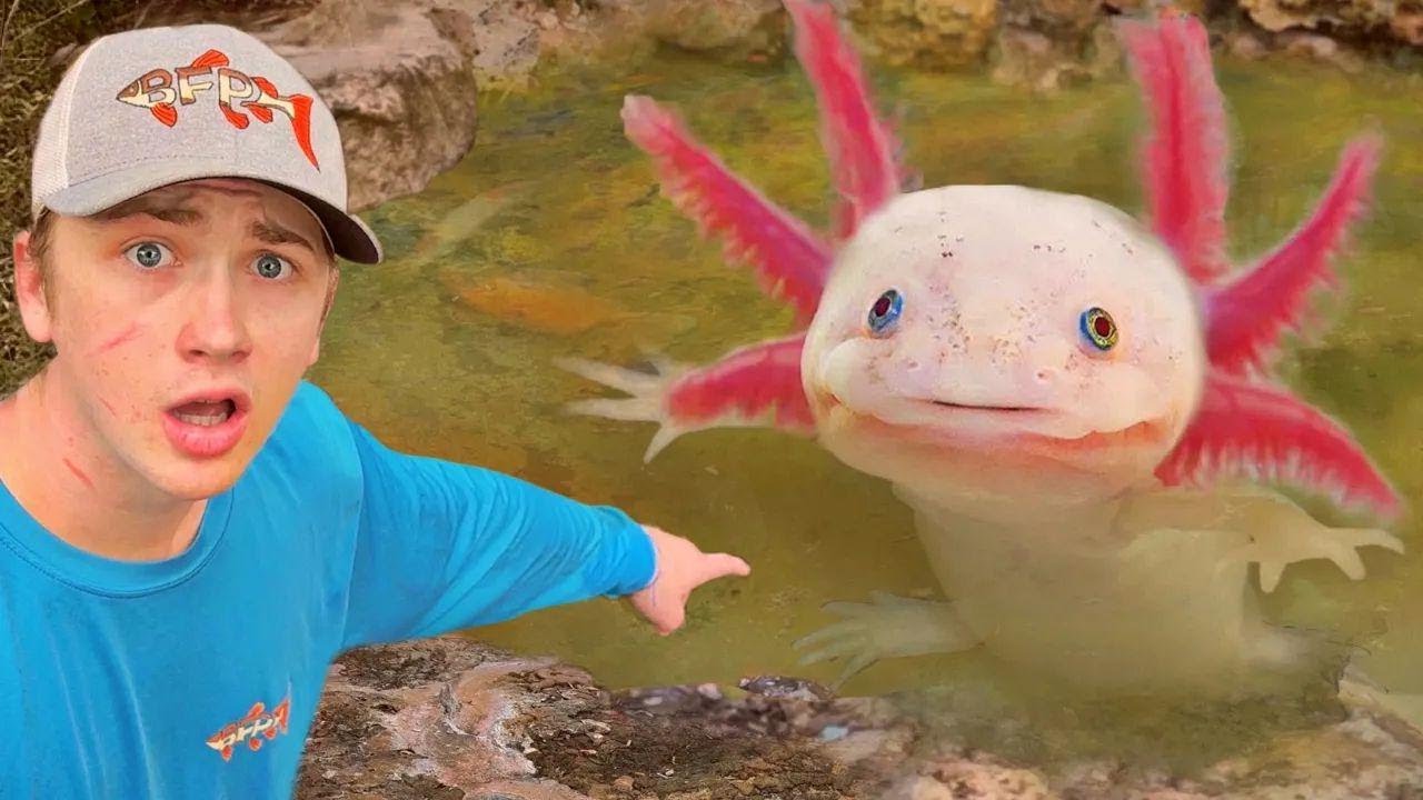 Aku Nemuin Axolotl di Kolam Terbengkalai!
