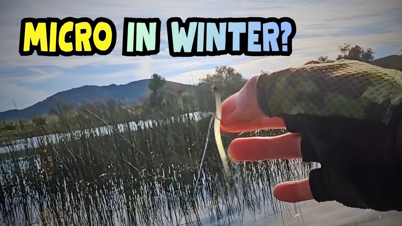 I Tested a Micro Finesse Rig for Winter Bass (Did NOT Expect This)