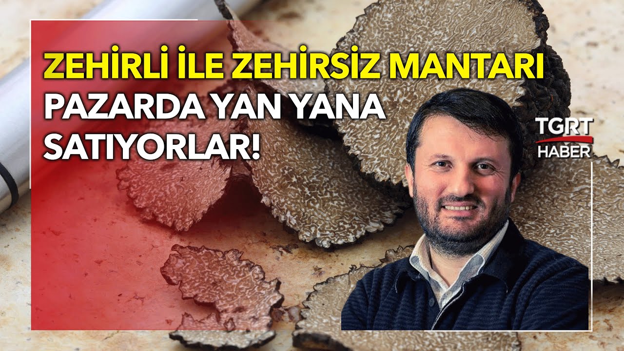 7 Bin Liralık Trüf Mantarı Stüdyoda! - Bilmedikleriniz