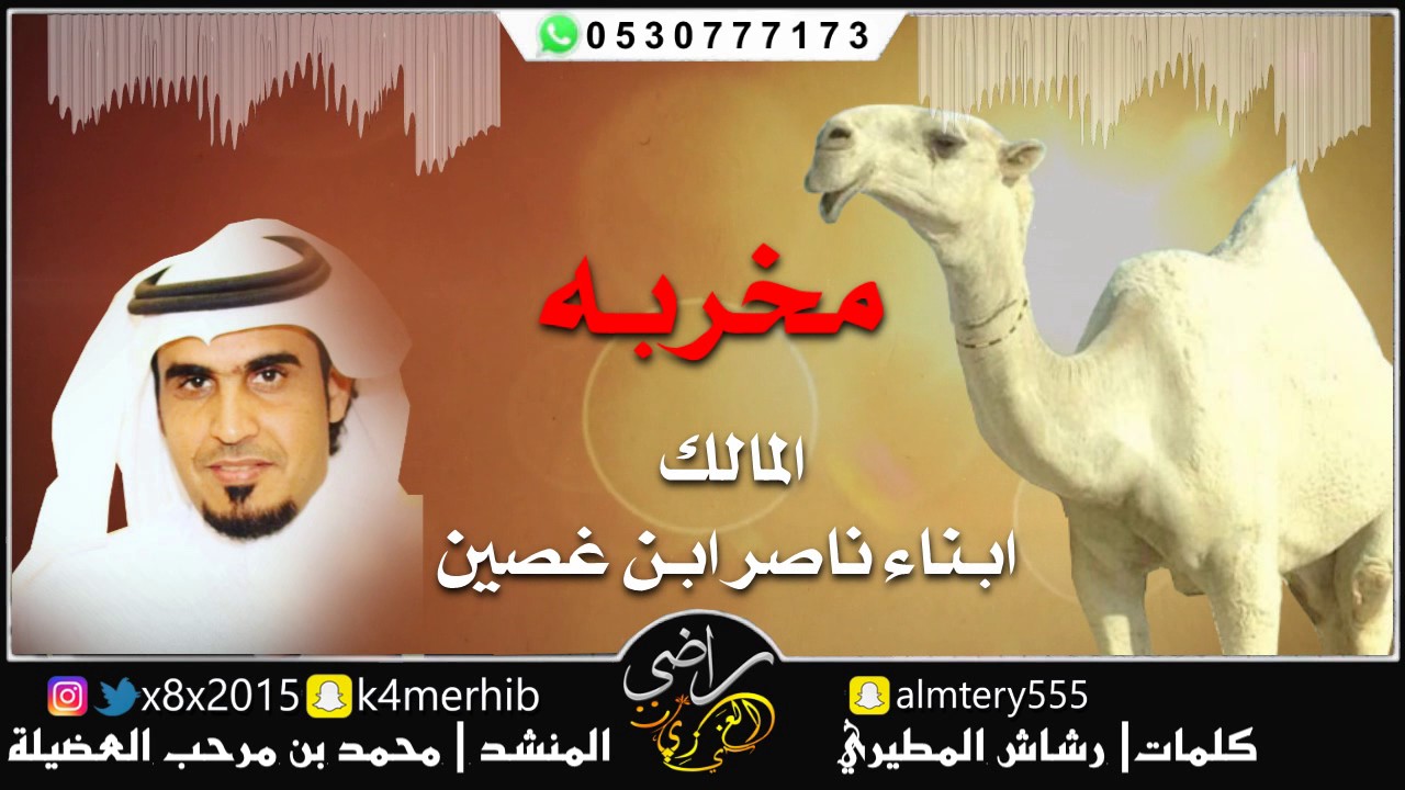 شيلة ( مخربه )المالك  ابناء ناصر ابن غصين الدوسري | كلمات رشاش المطيري | اداء محمد بن مرحب العضيله