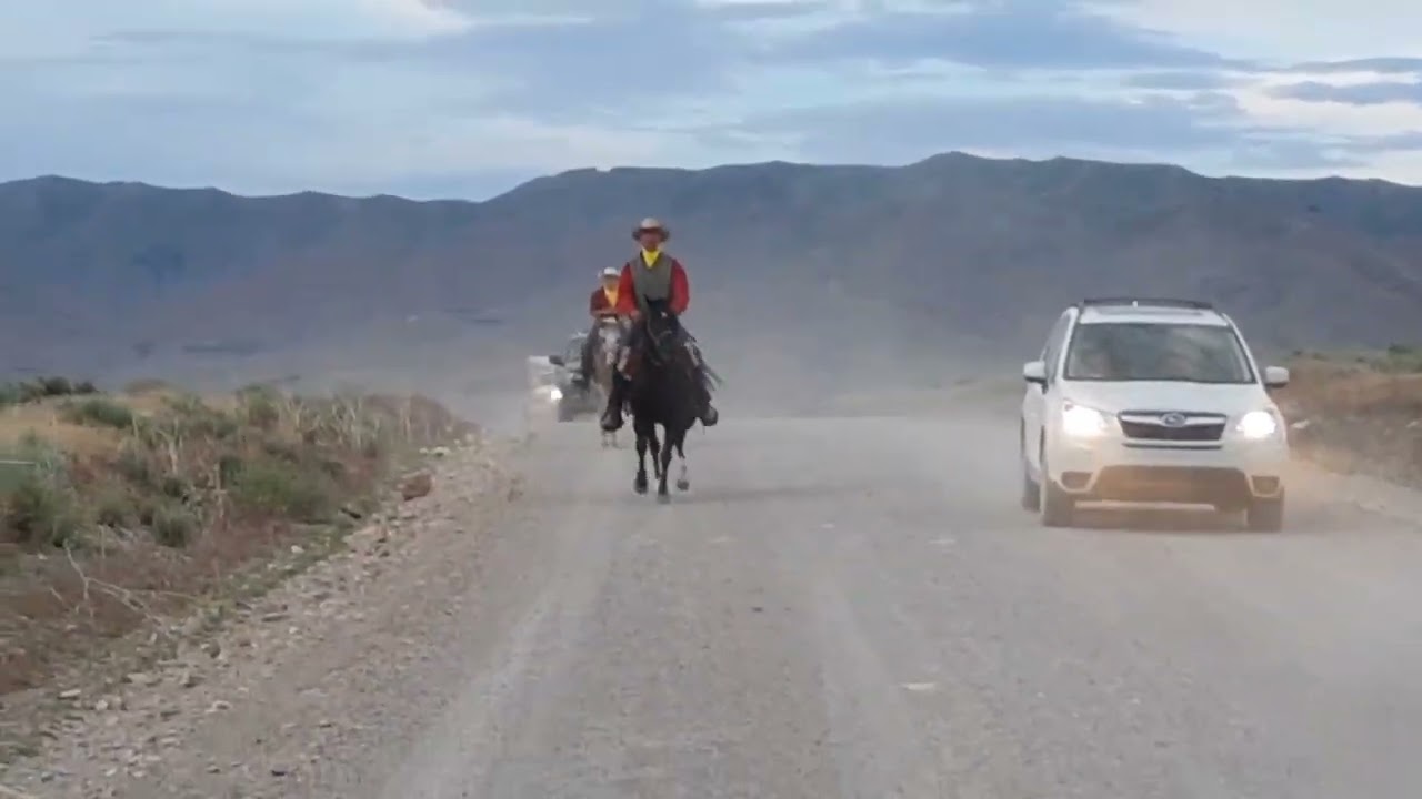 Pony express  part 2 ....7th generation rider 