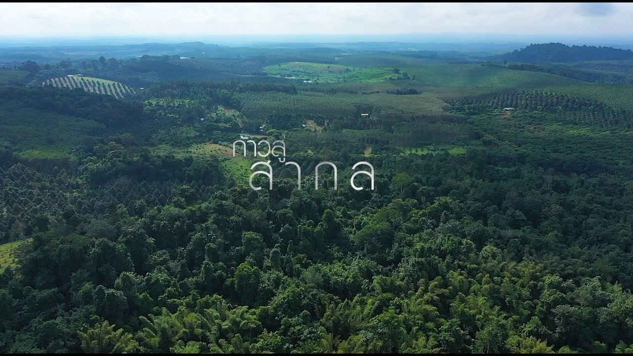 สารคดี 