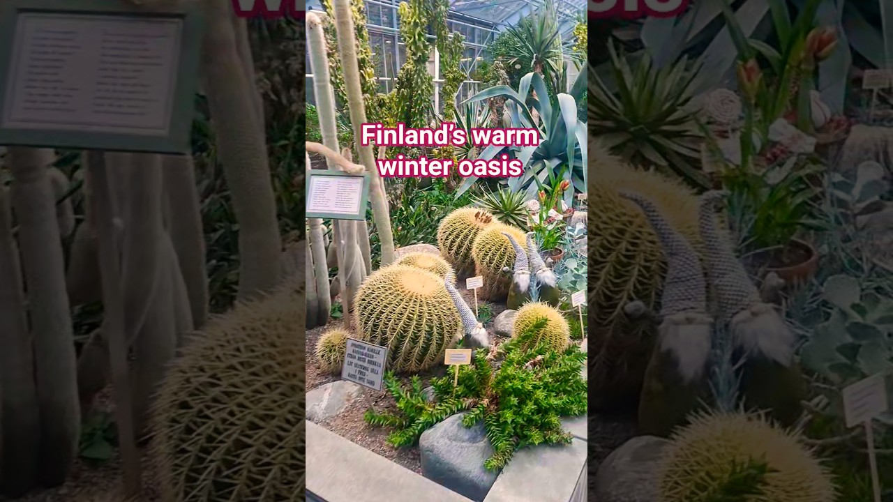 Helsinki Winter Garden is a serene indoor oasis of tropical greenery in Finland’s winter.