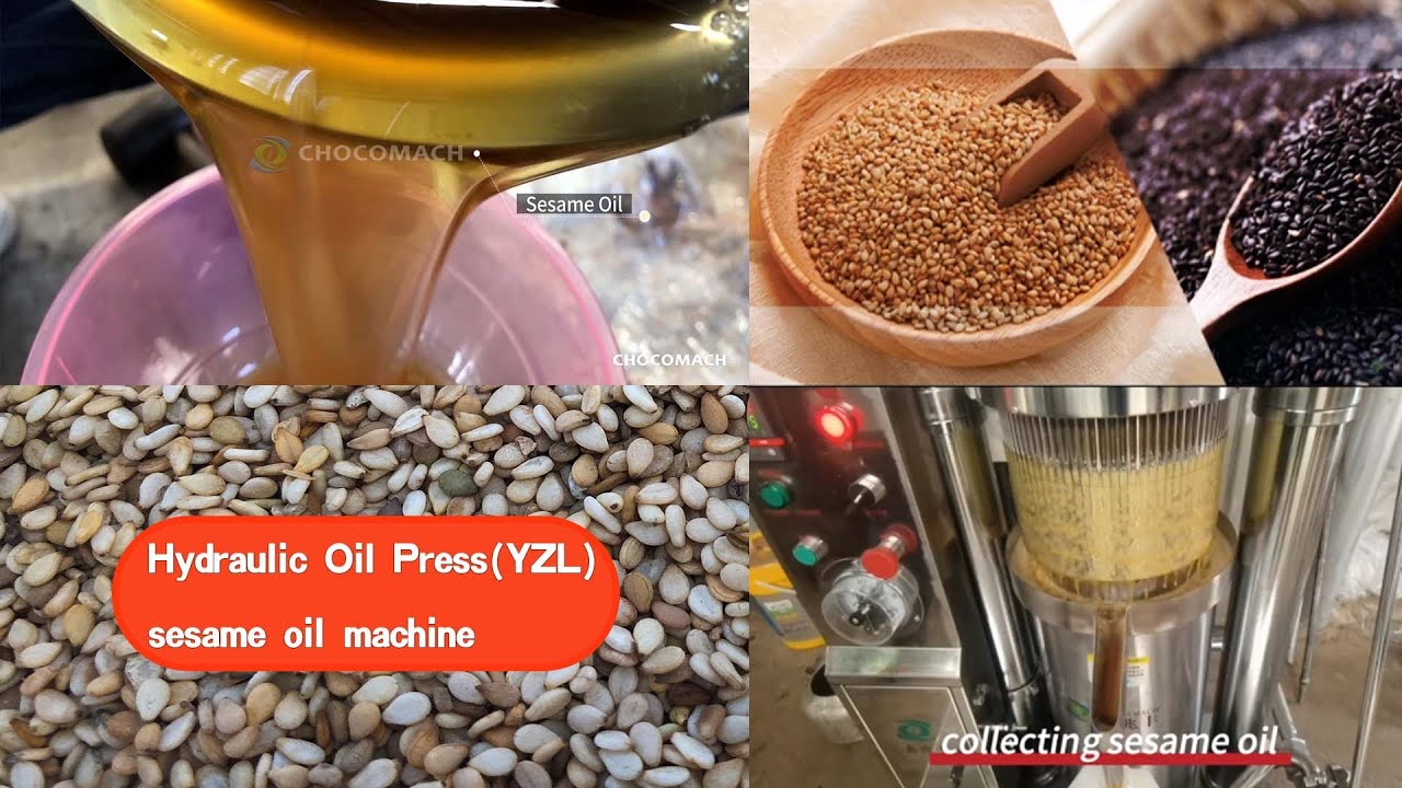 hydraulic oil press and cold pressed nuts operating video#hydraulicpress #coconut #walnut #peanut