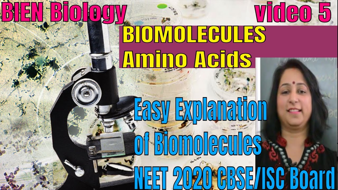BIOMOLECULES Made Easy | Amino Acids | NEET BIOLOGY | XI CBSE/ISC Board | By BIEN Biology