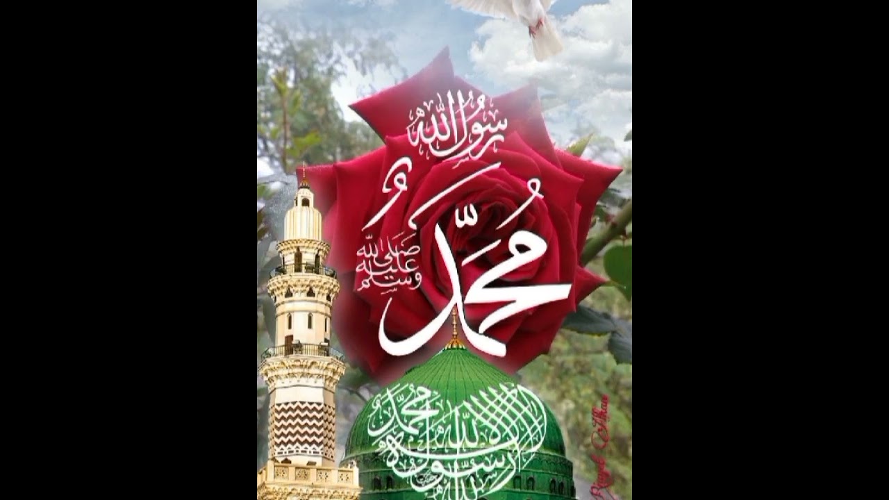 e saba mustafa se kah dena part -3#shortsnaat#letestnaat