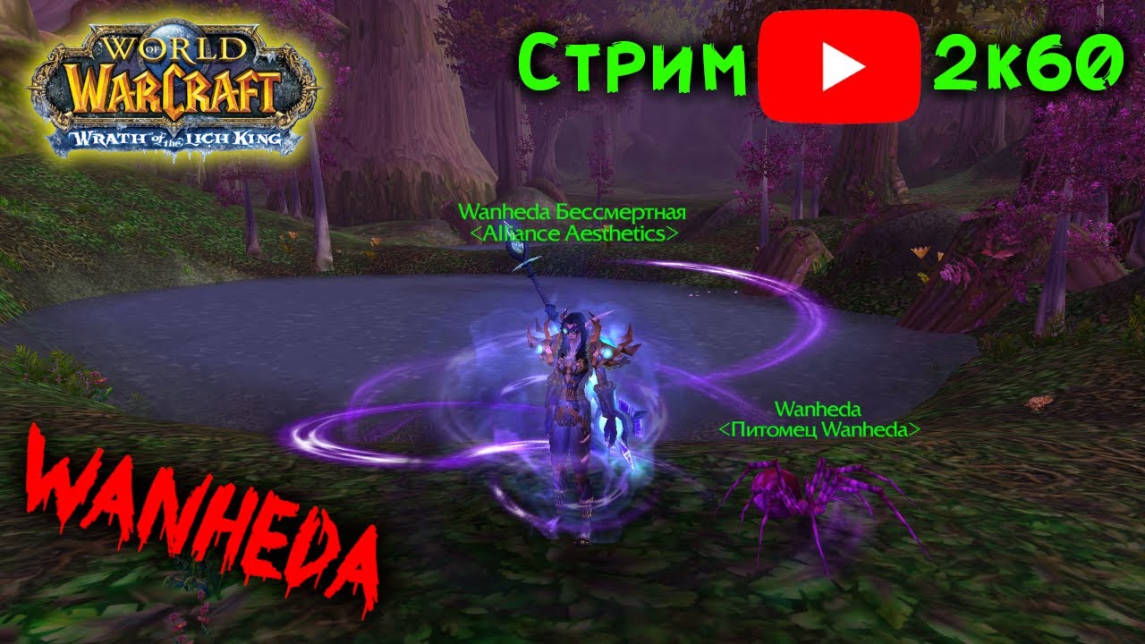 Экспедирую бобов в свинарник! ММ Хант, SoloQ 1x1, 3x3, WPvP. Стрим WoWcircle 3.3.5a x100