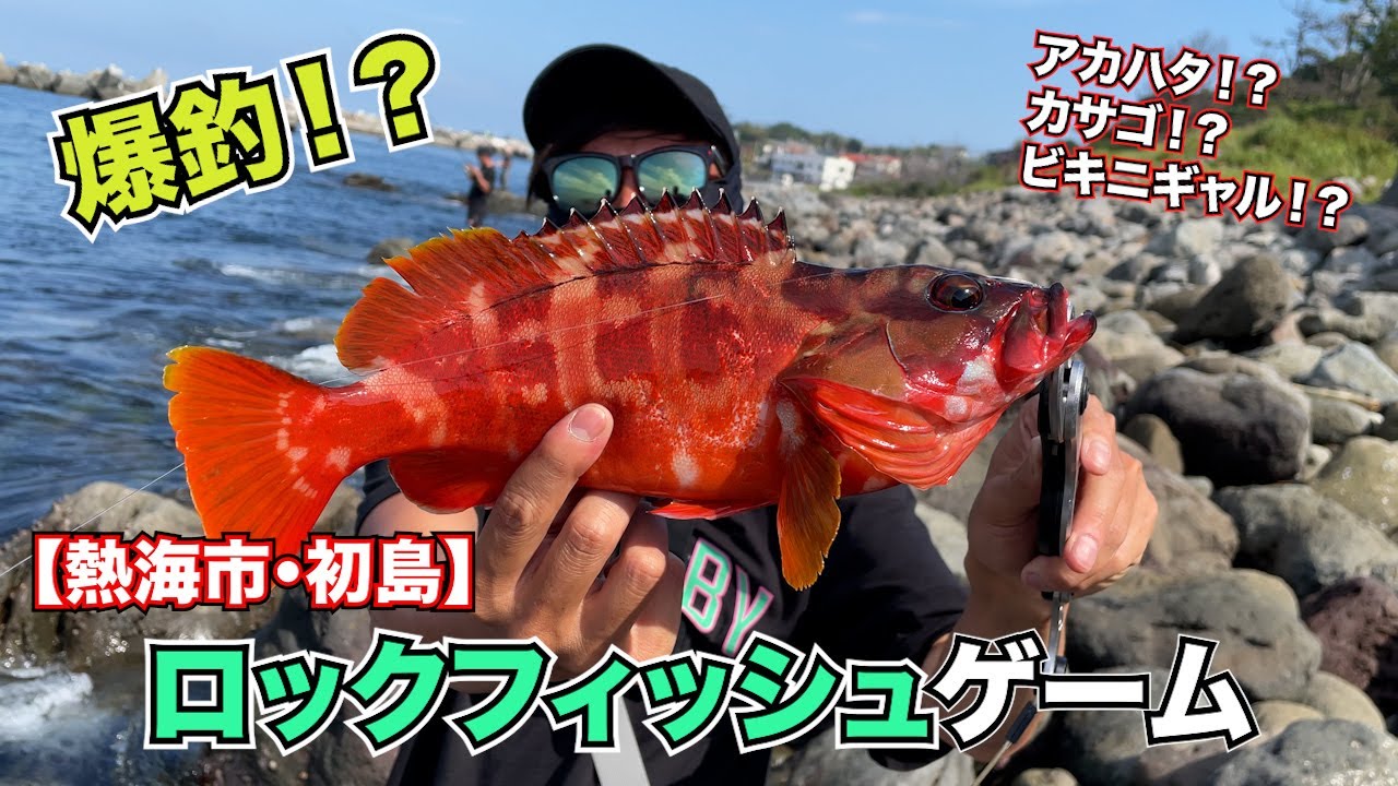 【ロックフィッシュ】リゾートアイランド『初島』でアカハタを狙ってきた時のおはなしDAYO〜☺︎