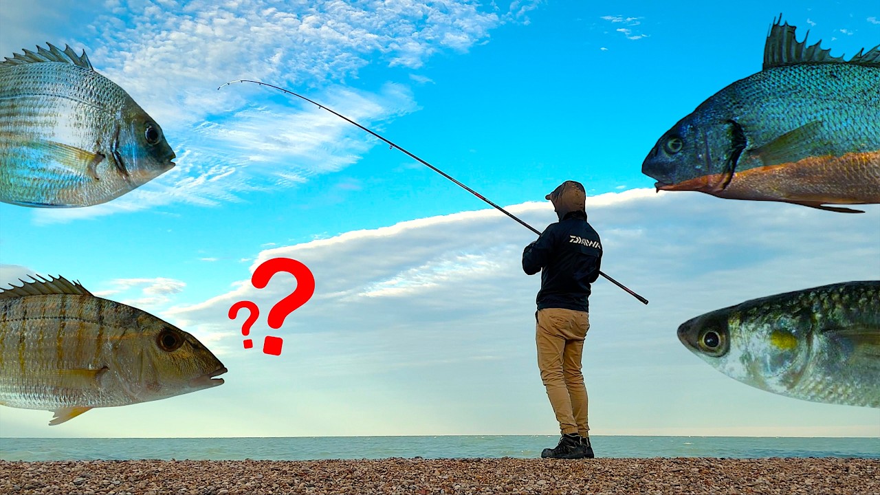 Una Pescata RICCA DI SPECIE DIVERSE! Pesca a Fondo dalla Spiaggia nel Mare Adriatico [Surf Casting]