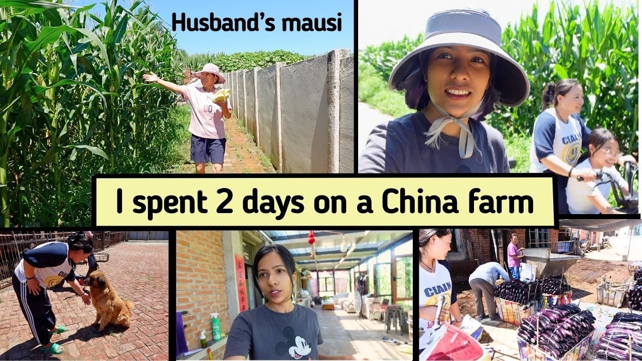 Husband's mausi invited us to her farmhouse | Rural Chinese food, farm, animals and crops