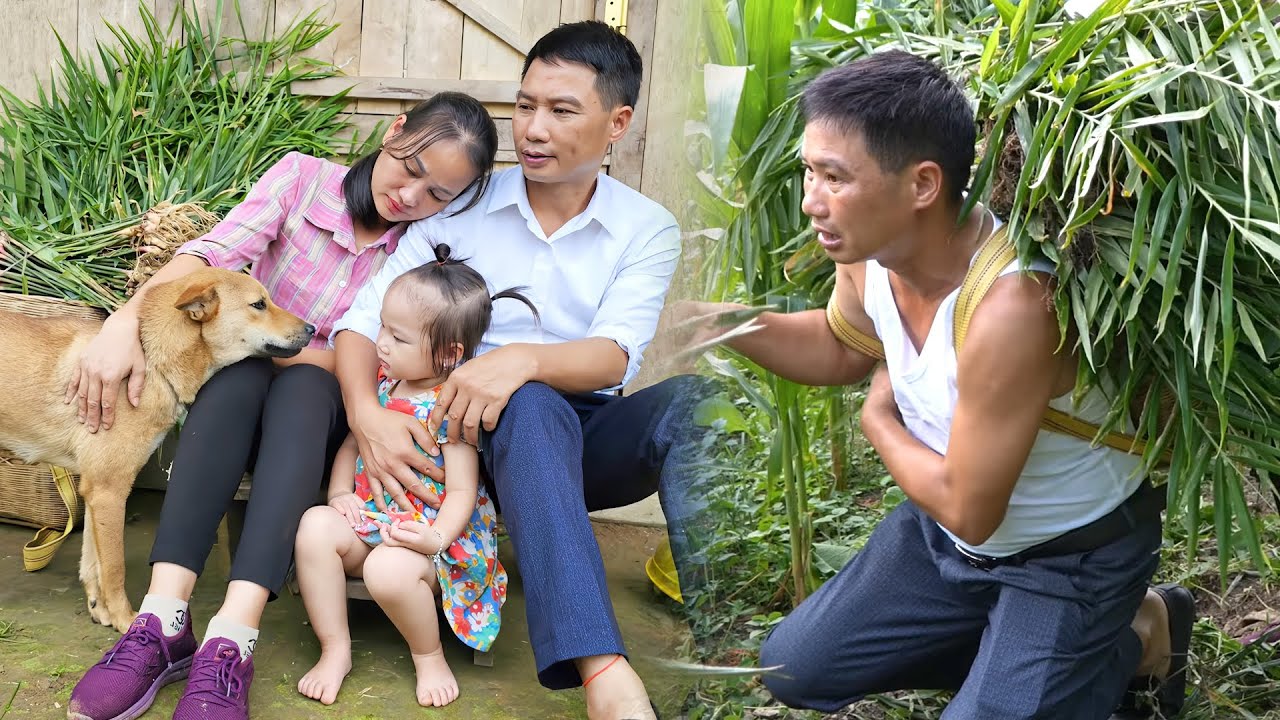 Ex-Husband Returns to Help Miss An | Harvesting Ginger & Market Day!