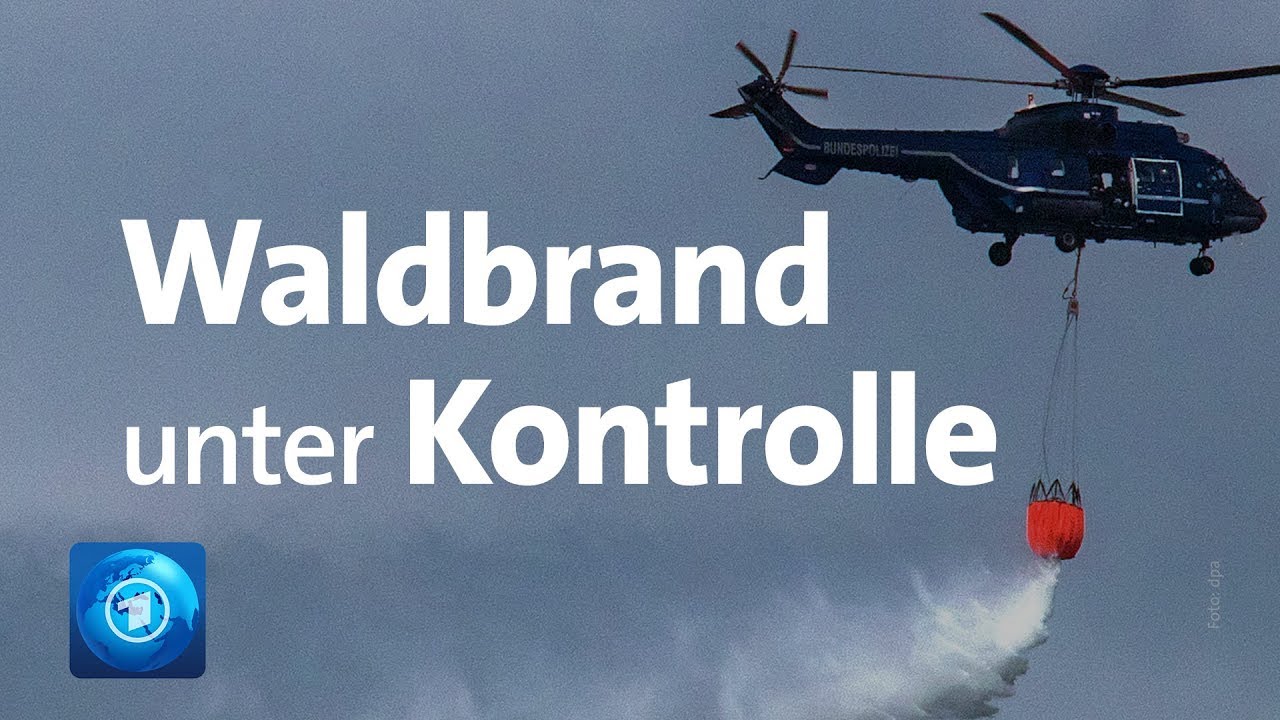 Waldbrand in Mecklenburg-Vorpommern unter Kontrolle
