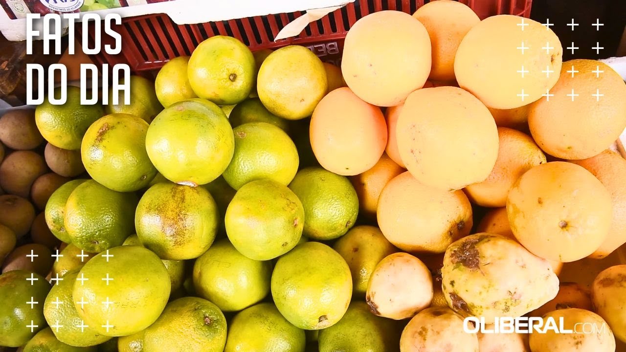 Belém vende mais de mil toneladas de laranja por dia em janeiro; fruta encarece até 4% no mês