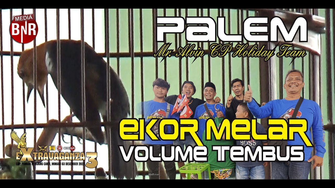 PALEM MR ALVIN CP : CETAR MEMBAHANA DI EXTRAVAGANZA 3
