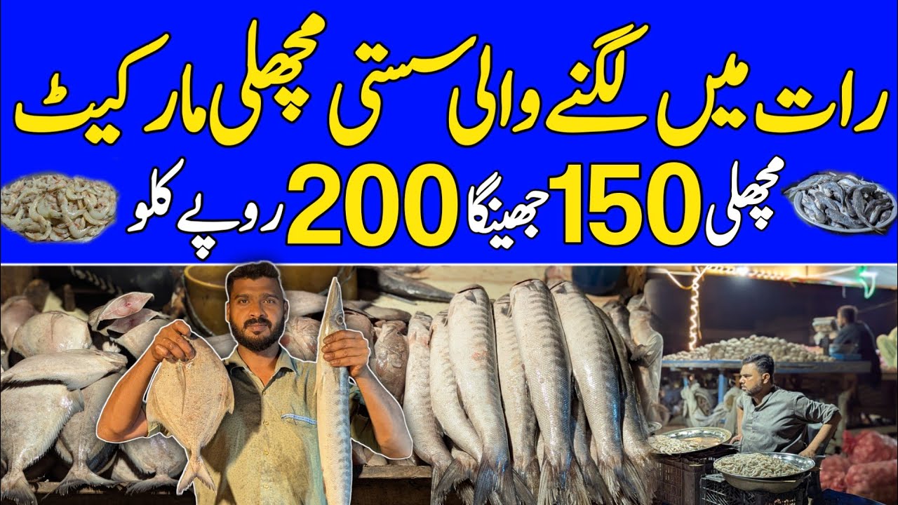 Biggest Fish Market In Karachi | Cheapest Fish Market Karachi | Lobster | Crabs | Fishes