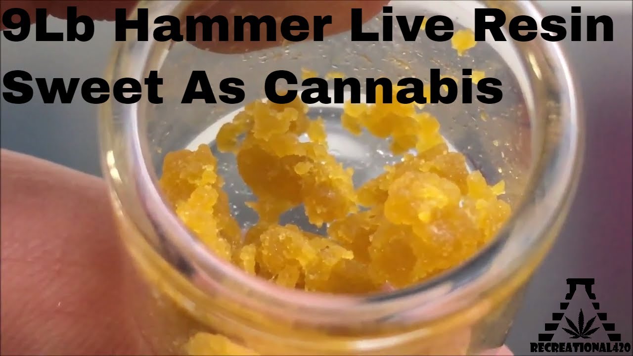 Recreational Cannabis Review of 9LB Hammer Live Resin By Sweet As Cannabis