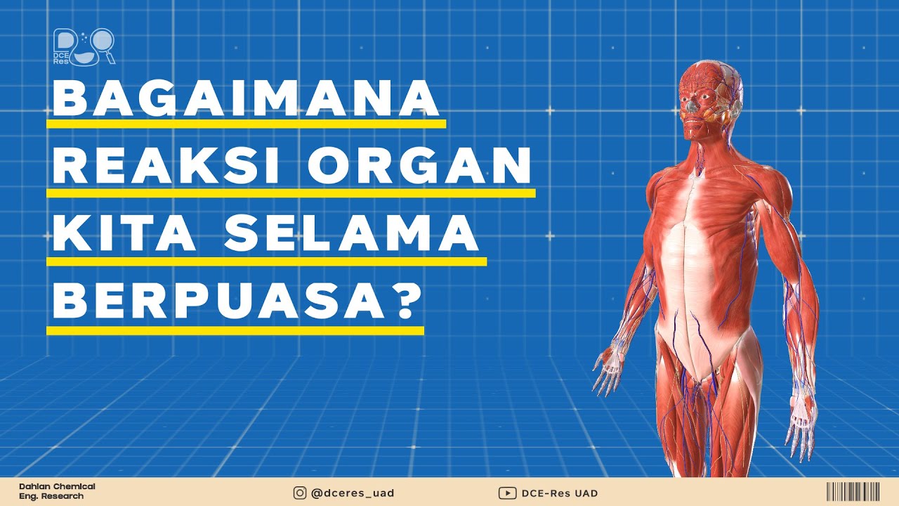 Reaksi Organ Tubuh Selama Berpuasa